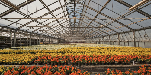 operai florovivaisti