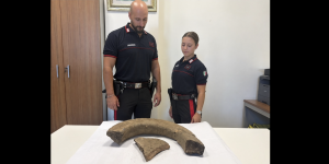 Girifalco, un incendio restituisce un reperto di epoca greco-romana