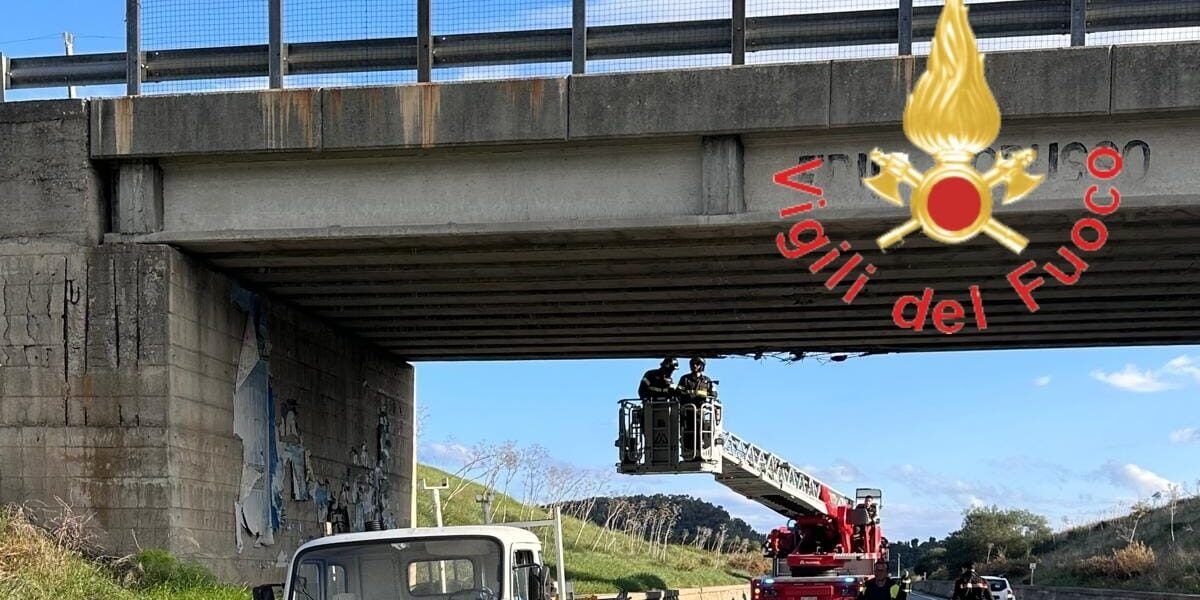 Camion con una gru impatta contro un viadotto sulla Statale 107, ferito l’autista