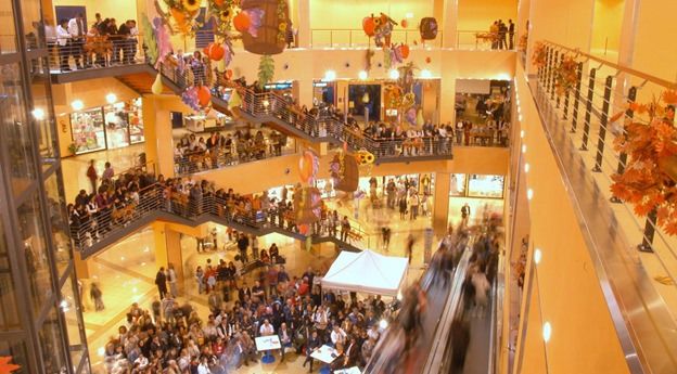 ANDROMEDA | Le ditte di Perri: «La nostra attività va avanti»