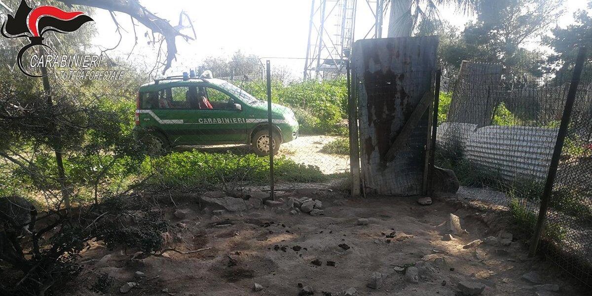 Trebisacce, denunce e sequestri per abbandono di animali