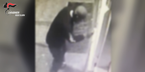 graffiti reggio belle arti denuncia