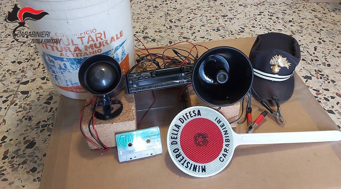 Usava richiamo vietato, cacciatore denunciato nel Cosentino