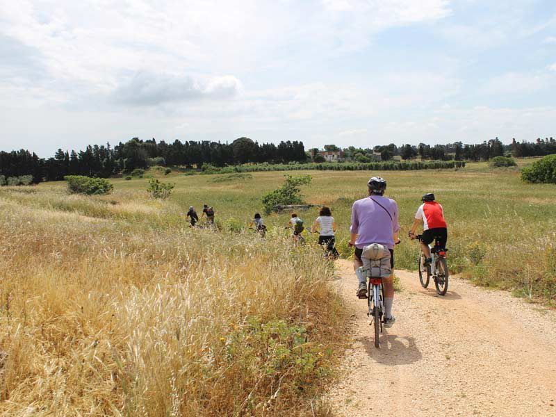 Le “vie verdi” della Calabria abbandonata