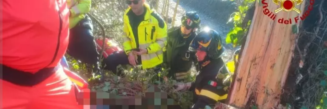 Operaio muore travolto da un albero che stava tagliando