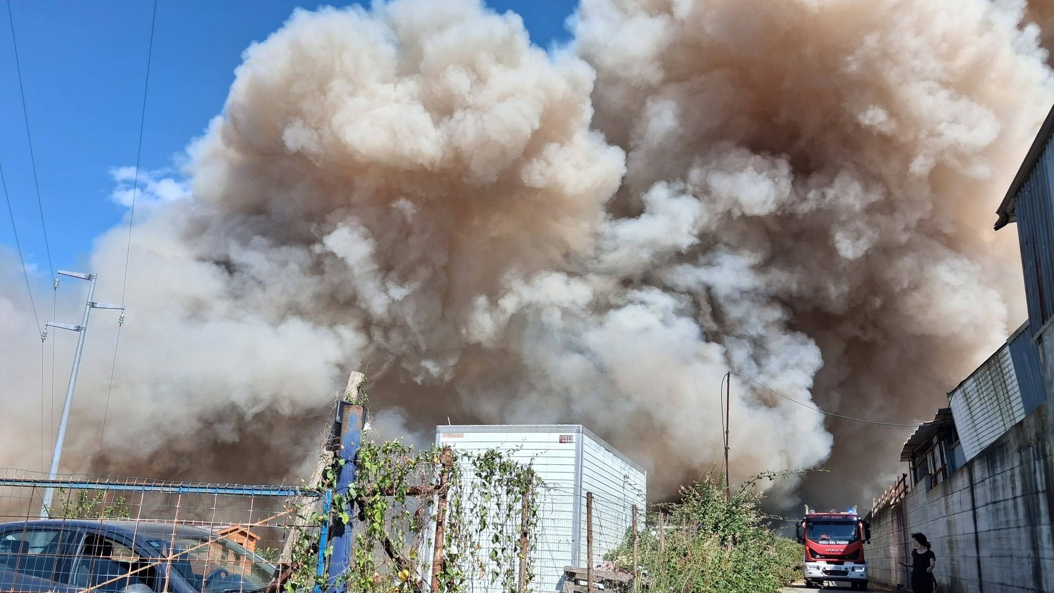 Vasto incendio a Vibo minaccia un rifugio per cani, animali salvati da una catena di solidarietà
