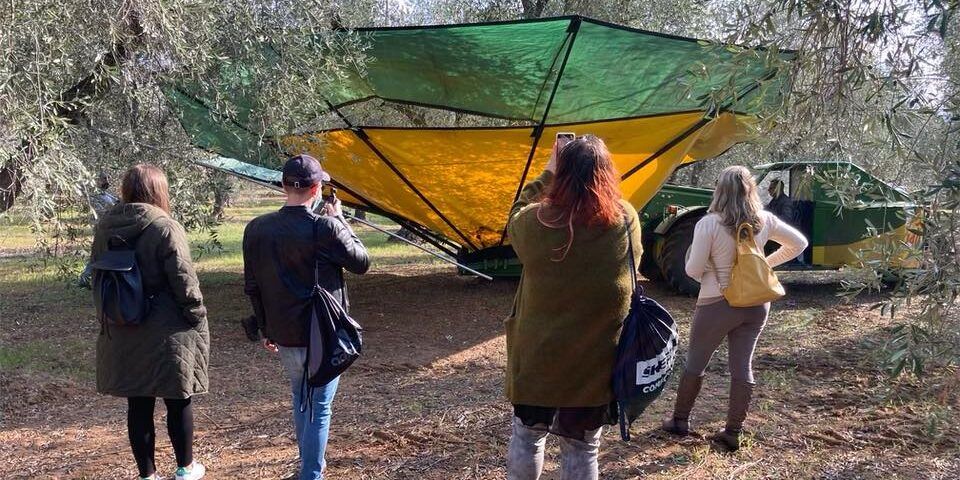 Nasce il Movimento Turismo dell’Olio Calabria