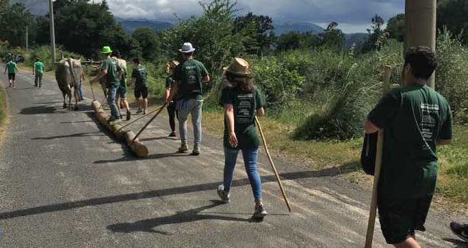 Laino Borgo, torna la processione delle «ntinne»: il rito candidato a patrimonio dell’Unesco