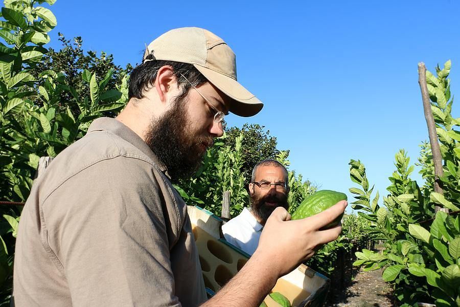 A Santa Maria del Cedro rabbini da tutto il mondo