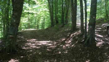 Estate in Aspromonte, l’ente Parco raccomanda prudenza: alcuni sentieri non sono percorribili