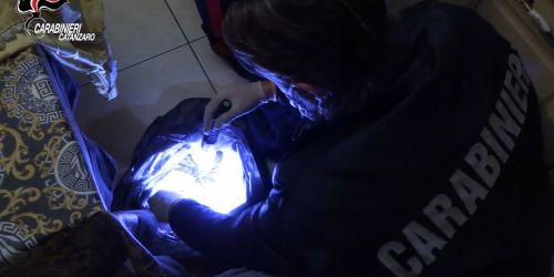 Immagine 2023-07-17 064411