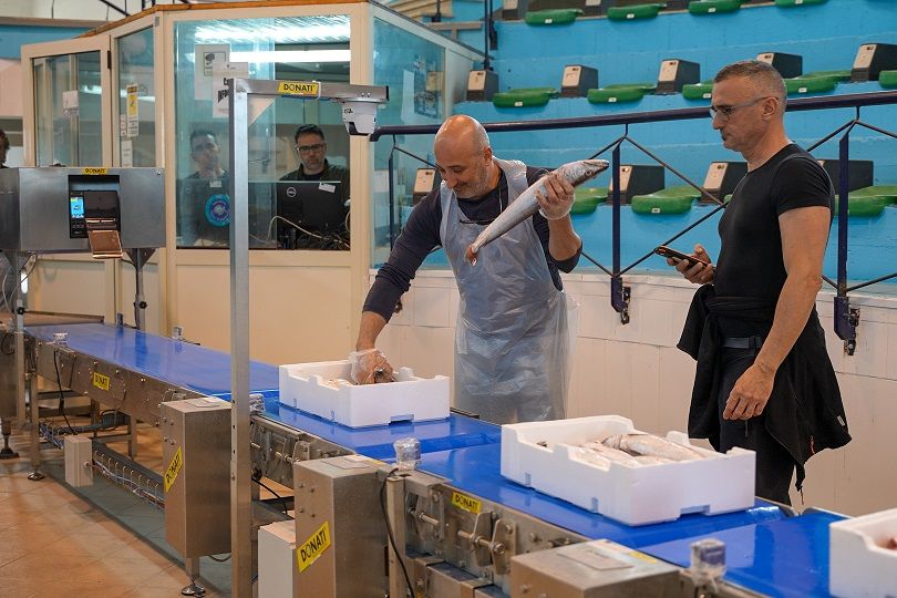 Mercato ittico di Corigliano Rossano, l’asta diventa elettronica – FOTO