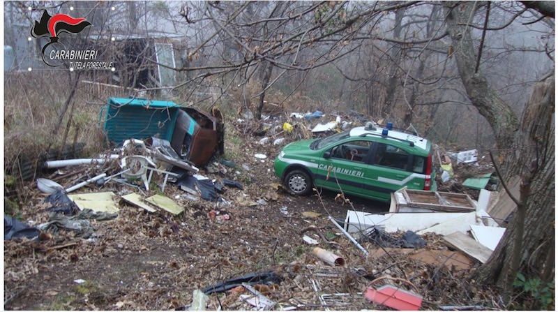 Gestione illecita di rifiuti a Taverna, sequestrato un castagneto