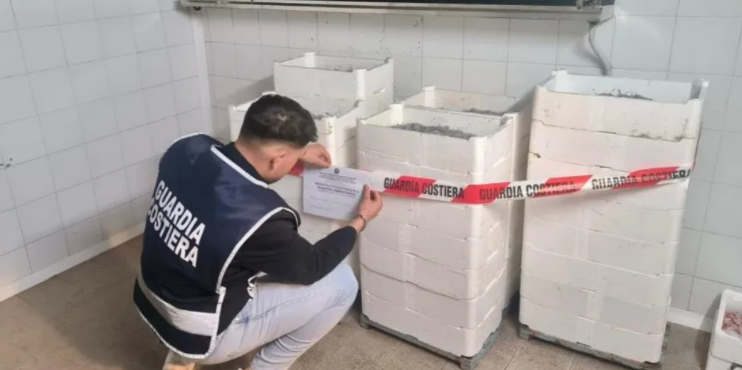 Quasi 2 quintali di novellame di sarda sequestrati nel Crotonese. Sanzione di 10 mila euro