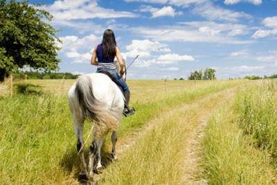 BORDERLAND | «Il paese lo comandiamo noi»