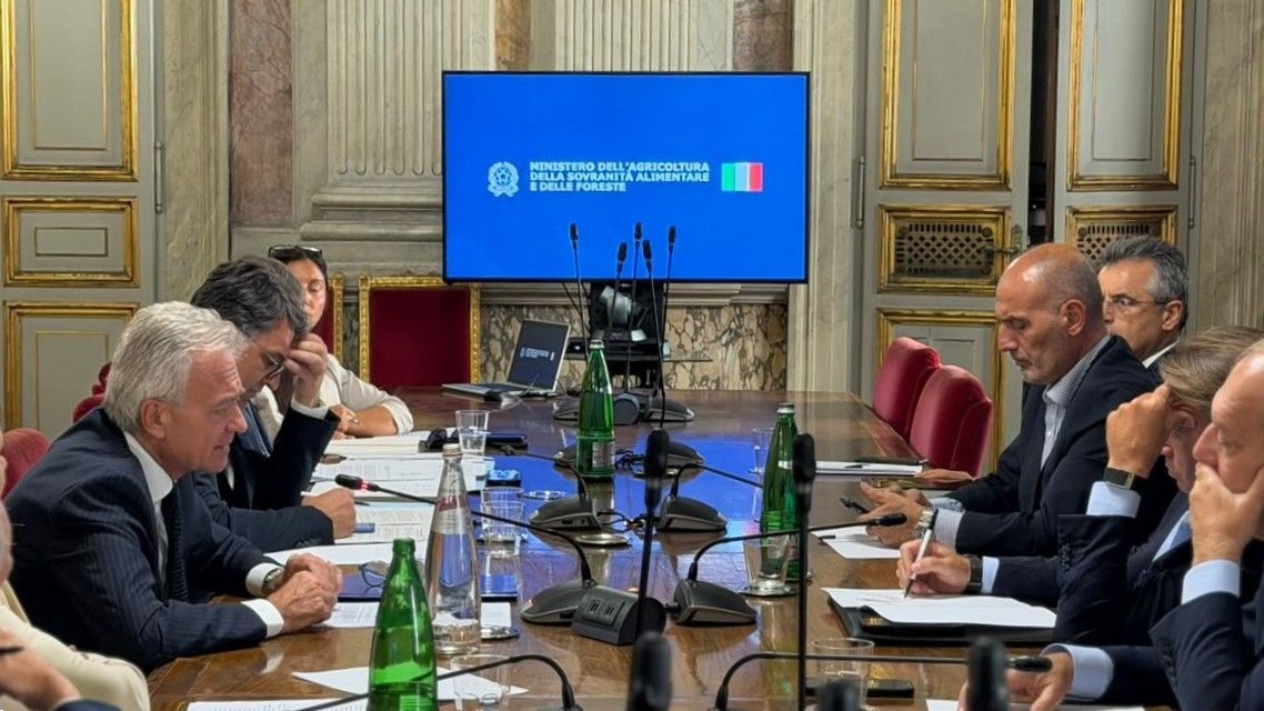 Crisi del comparto olivicolo e Xylella, l’assessore Gallo a Roma. Riunione con il ministro Lollobrigida