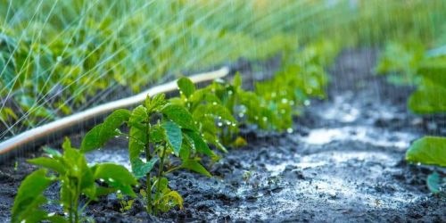 acqua-terreni-anbi-a2a