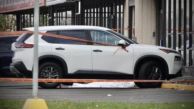 La mattanza dei narcos in Canada e gli equilibri criminali tra la Calabria, Toronto e Montrèal