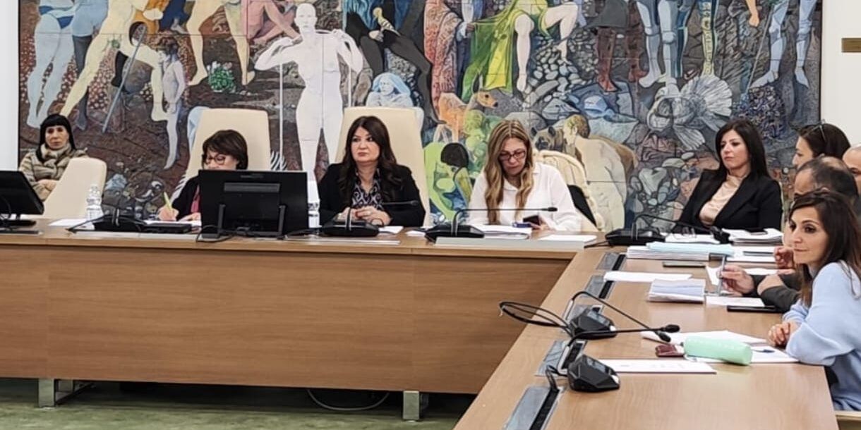 «Grazie alla telemedicina in Calabria nascerà una nuova sanità territoriale»