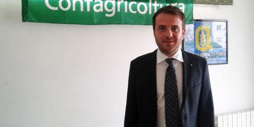 tancredi_agrifidi