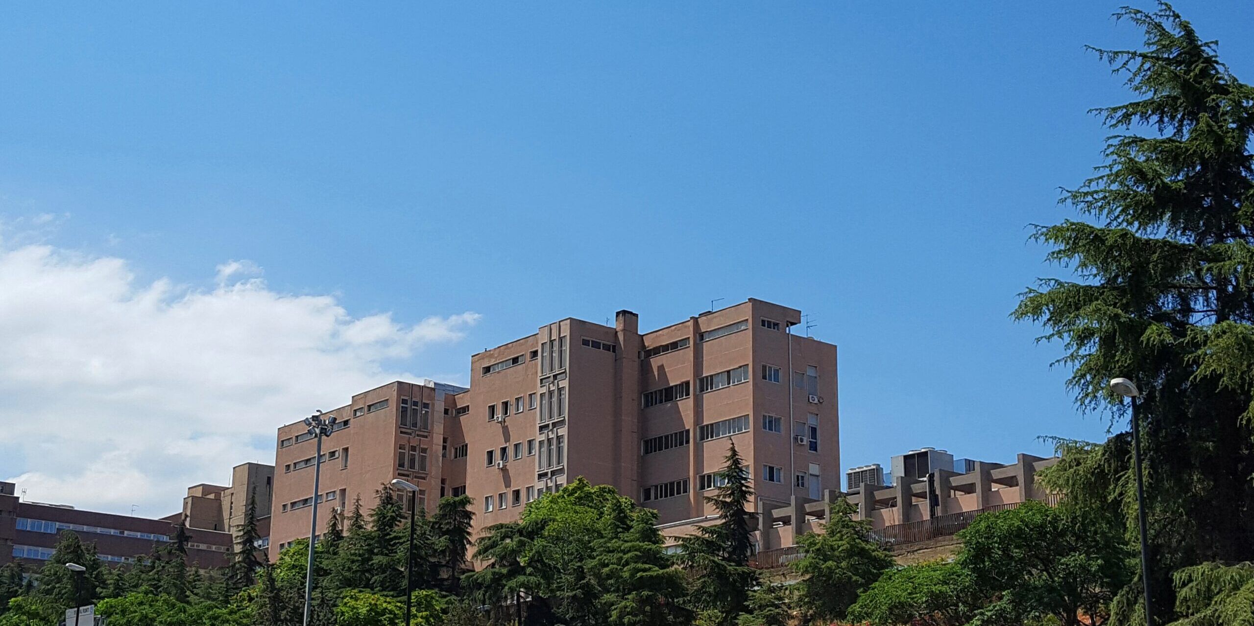 Gom, un focus sulle nuove frontiere dell’Ematologia