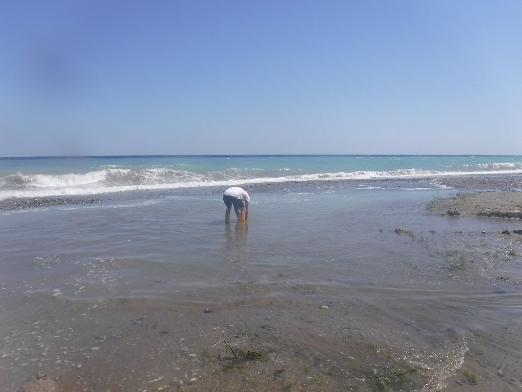 Nicolò attacca Oliverio: «Goletta Verde conferma il disastro sulla depurazione»