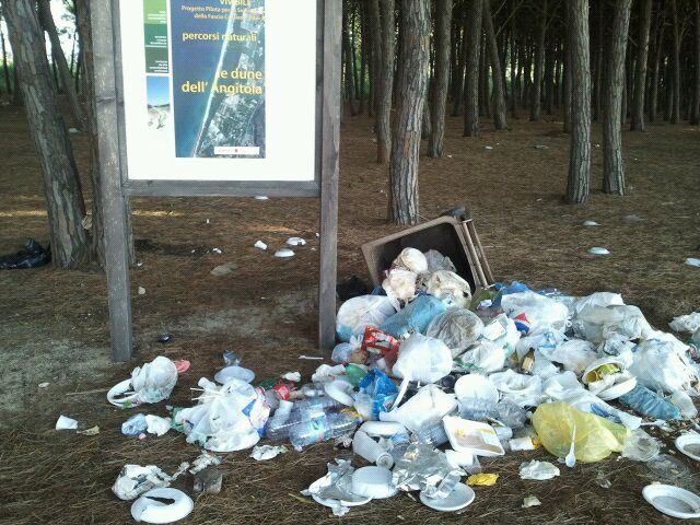 Le dune dell'Angitola sommerse dai rifiuti