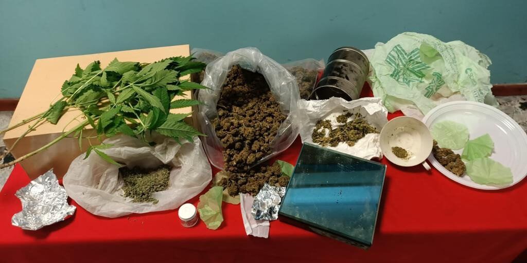 Petilia Policastro, coltivava piante di canapa indiana in casa: arrestato