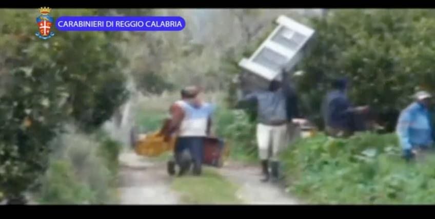 Quegli invisibili sfruttati nelle campagne della Piana