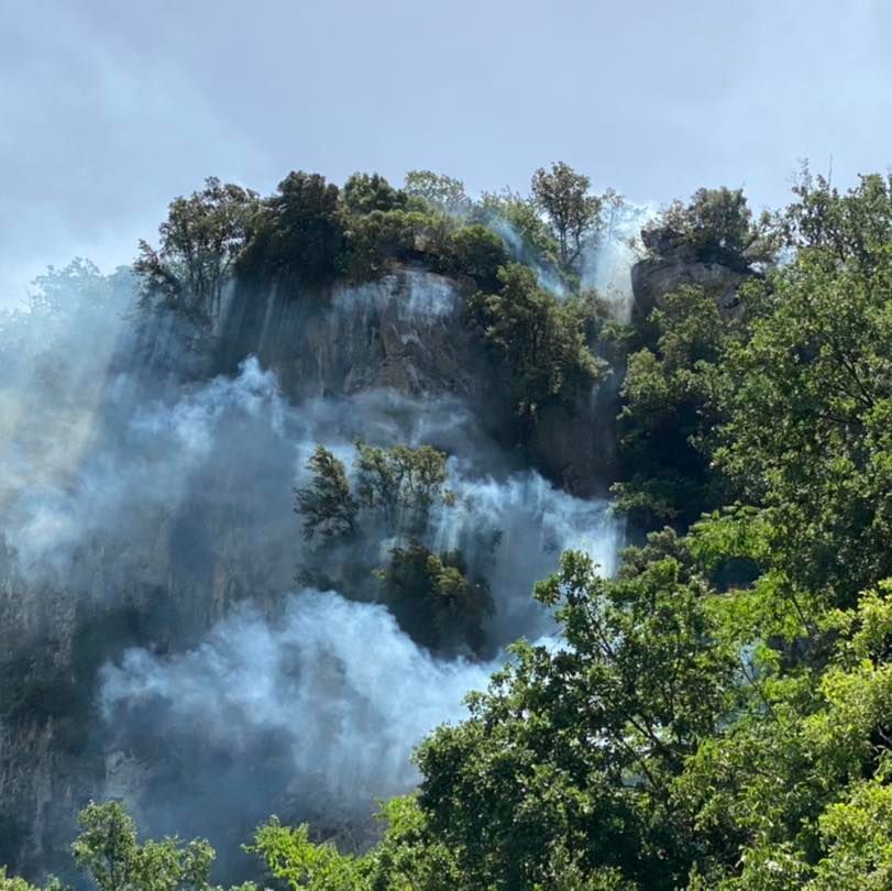 Incendio di vaste proporzioni a Mendicino, in azione due Canadair e i vigili del fuoco – FOTO