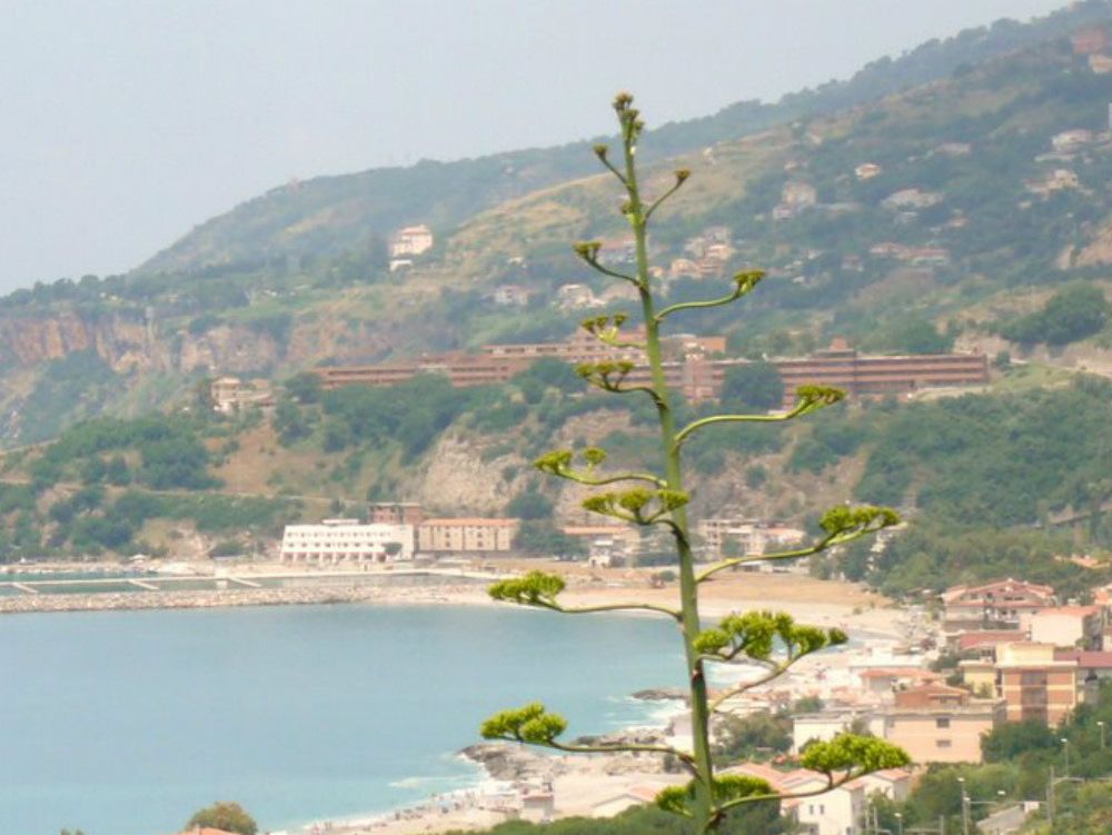 Dalla casa del boss alla guida della sanità