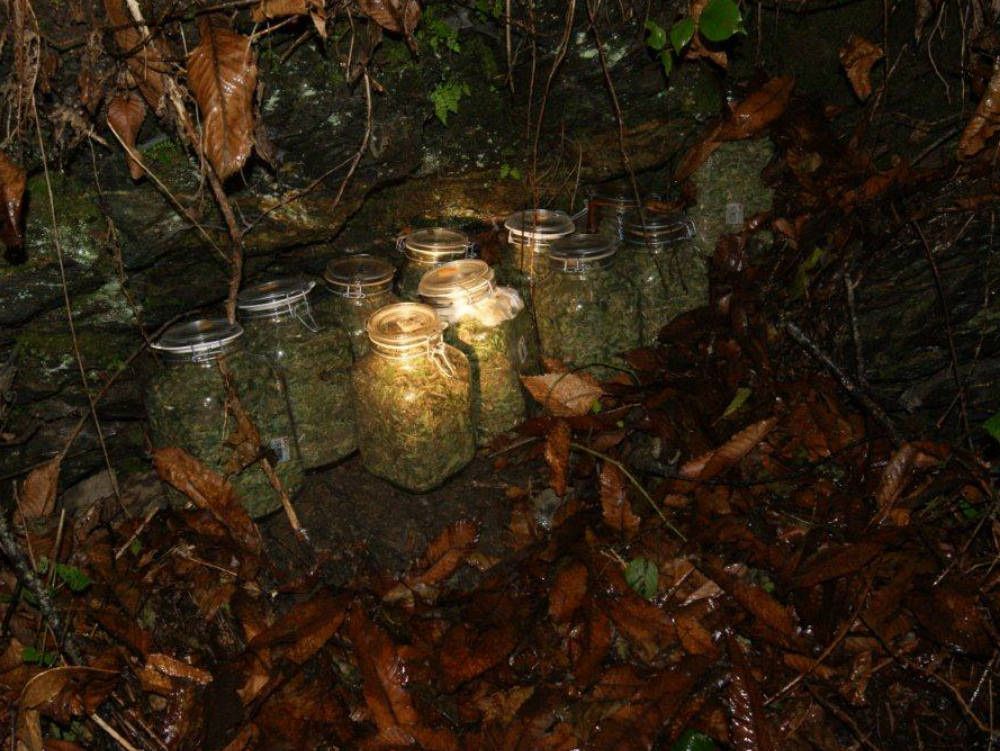 Droga nascosta in barattoli e damigiane