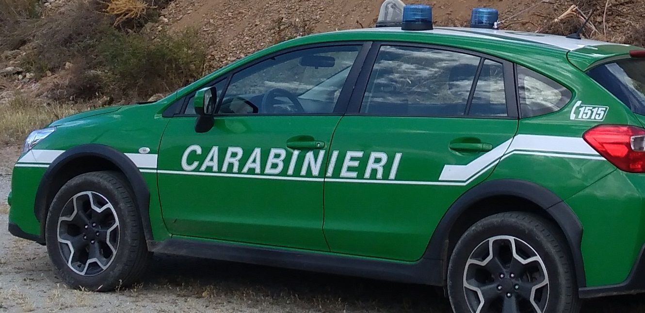 Brucia rifiuti e vegetazione nella fiumara Novito tra Locri e Siderno, arrestato