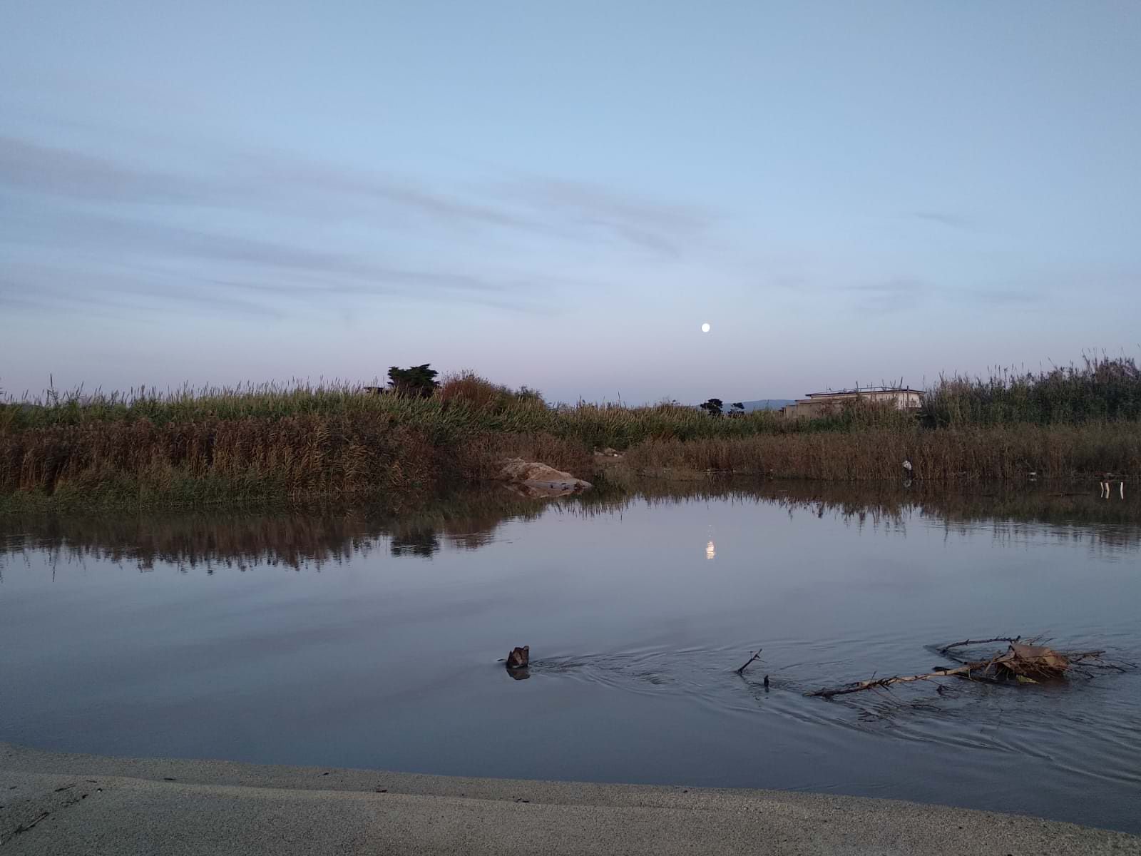 «Un'area protetta alle foci del Mesima», il Wwf di Vibo propone una legge
