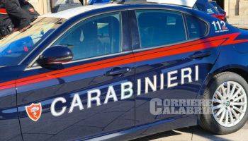 Vibo, annullata la sanzione a un sovrintendente dei carabinieri. Morcavallo: «Privacy tutelata nei procedimenti disciplinari»