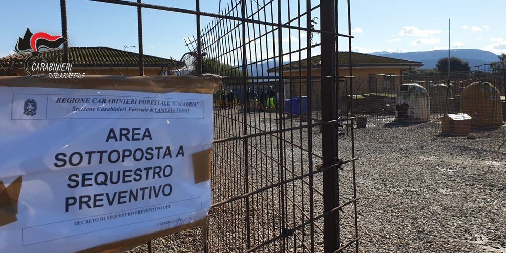 Animali maltrattati, sequestrato il canile di Lamezia
