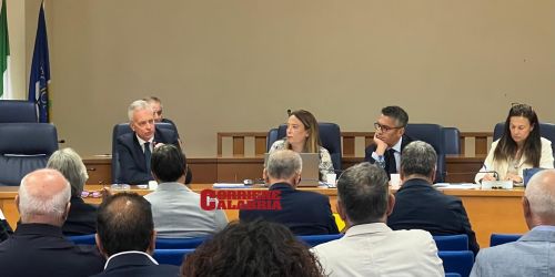 sesta_commissione_xylella