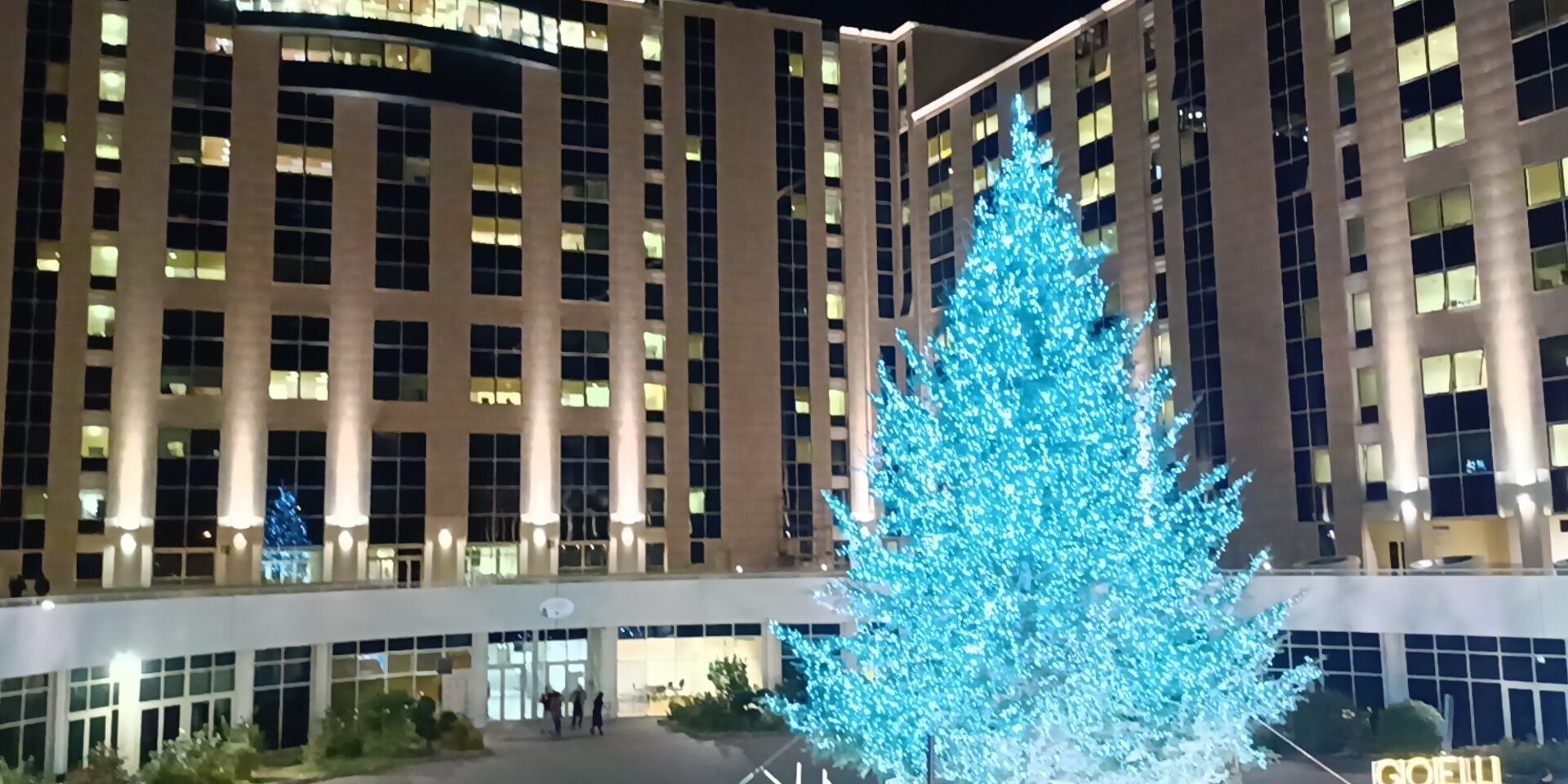 L’azzurro colora la notte della Cittadella, acceso l’albero di Natale dei calabresi