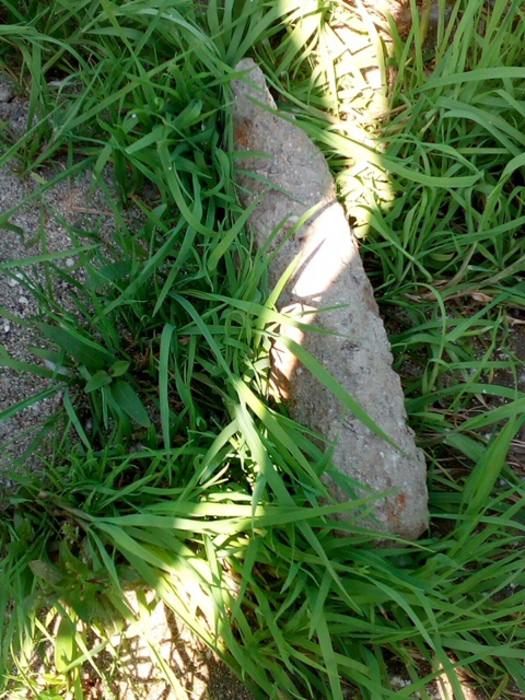 Tarsia, un ordigno bellico lungo gli argini della diga