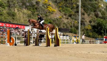 Il fascino dell’equitazione conquista Catanzaro: tre giorni di eventi