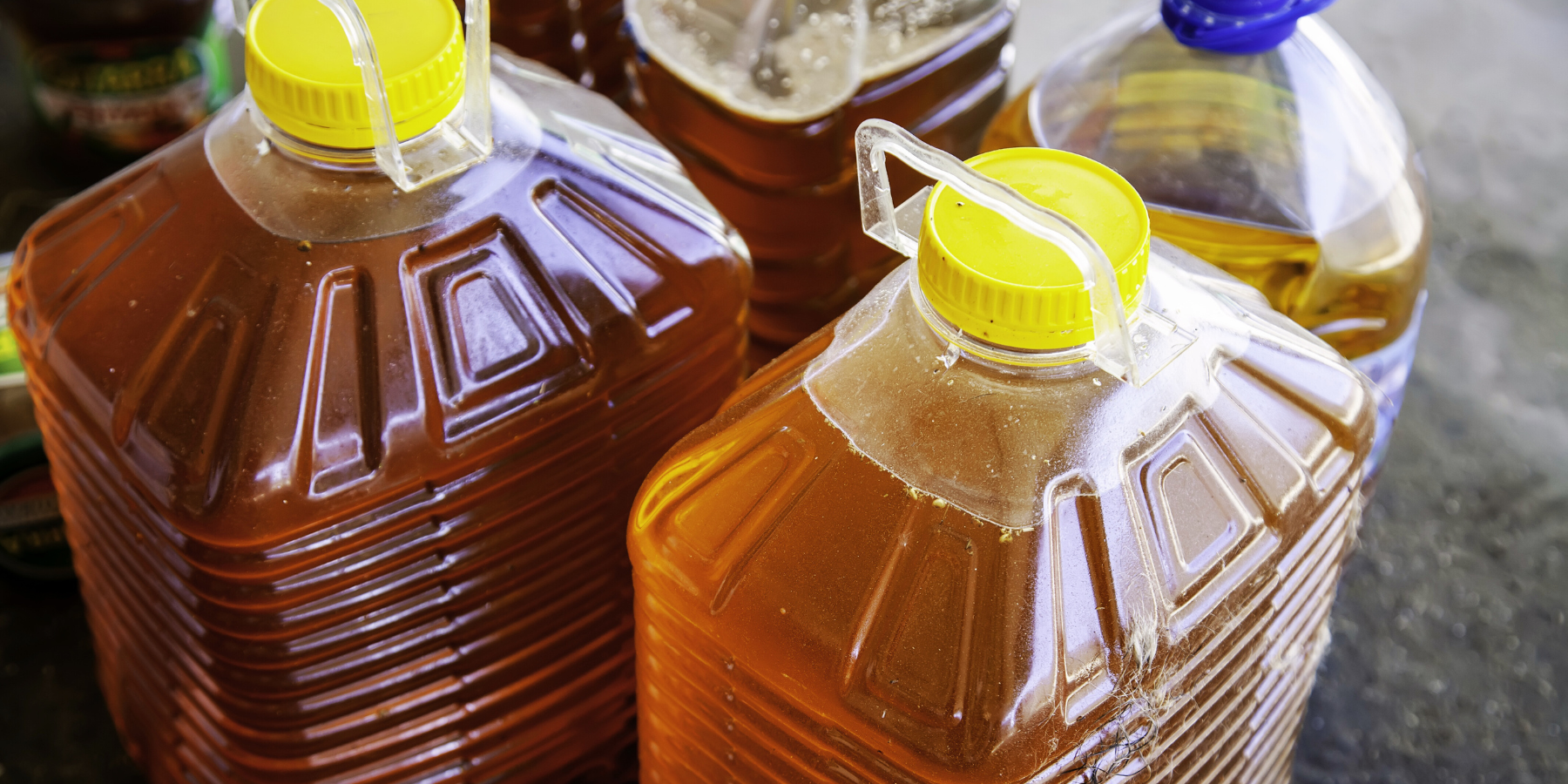 ‘Ndrangheta, il business degli oli esausti da Roma a Cirò: il sistema Alvaro e le “pressioni” sui ristoratori