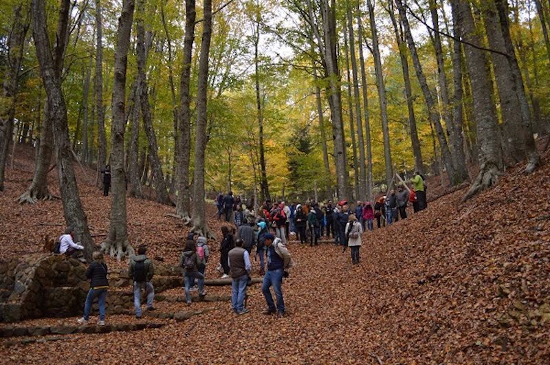 Giardini delle Esperidi, ritorna l'amore per i luoghi nella Sila Piccola