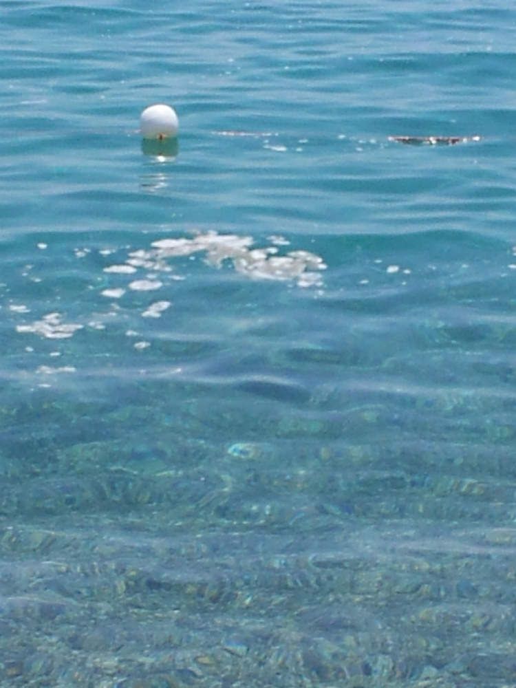 Pugliano: «Il mare calabrese non sta proprio male»