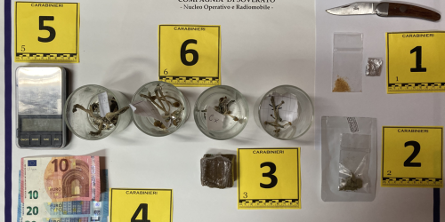 arresto-funghi-allucinogeni