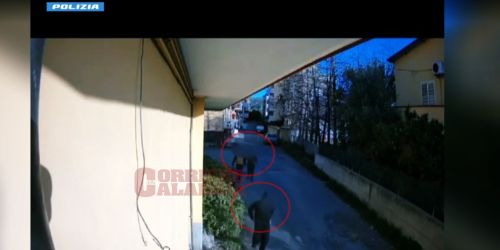 aggressione crotone pestaggio