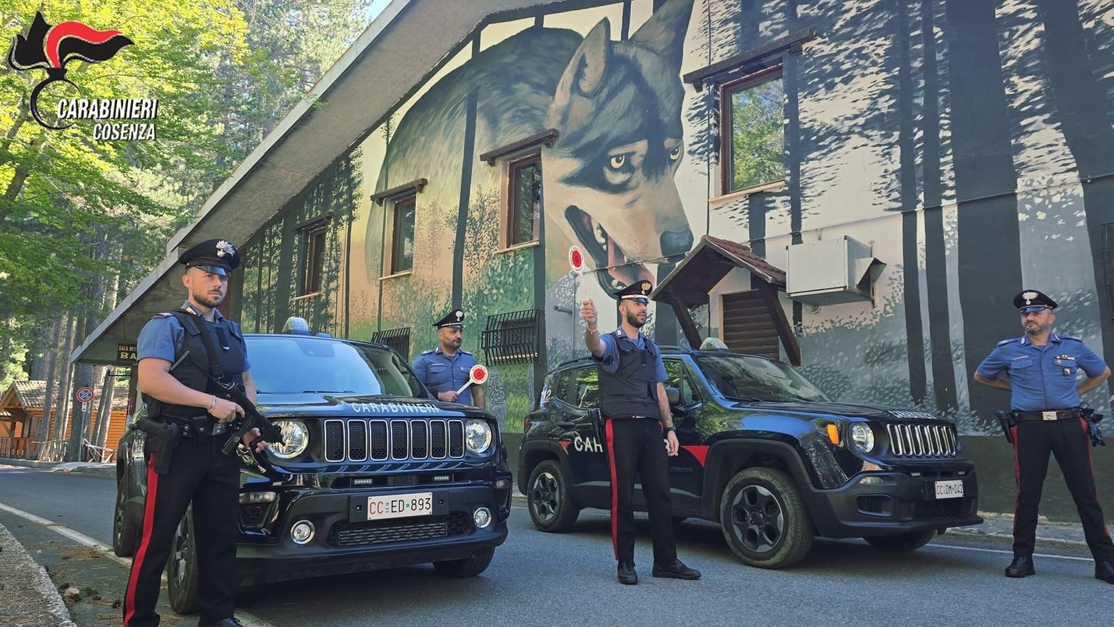 Sequestrato un parcheggio abusivo vicino la riserva dei Giganti della Sila