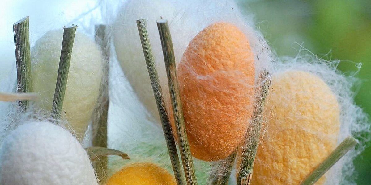 Gucci investirà in Nido di Seta. «L’obiettivo è diventare primi fornitori»