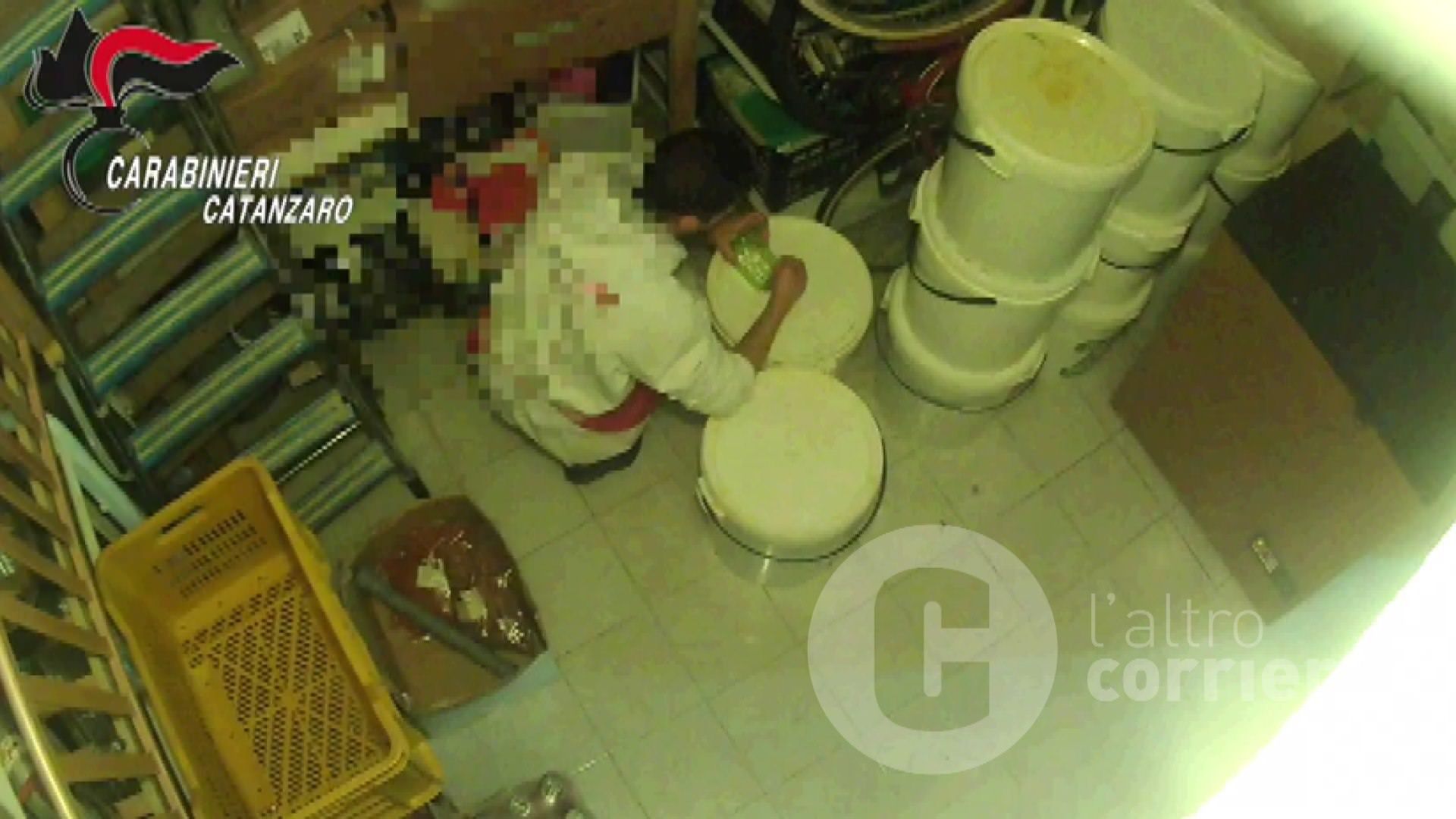 Il nipote di “Cenzo” Gallace che a 25 anni «ha preso il posto del padre»