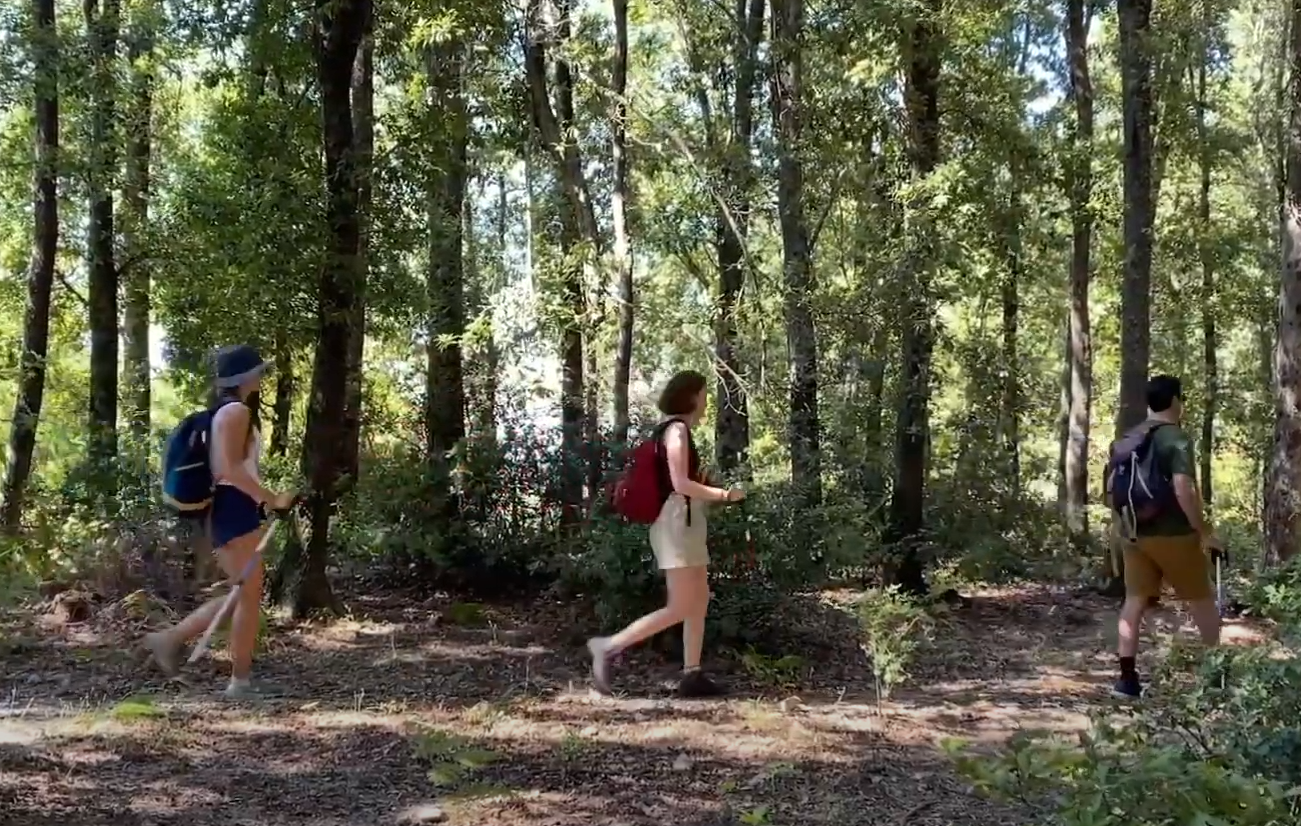 In Cittadella si presenta il Cammino Basiliano: mille chilometri per scoprire la Calabria – VIDEO