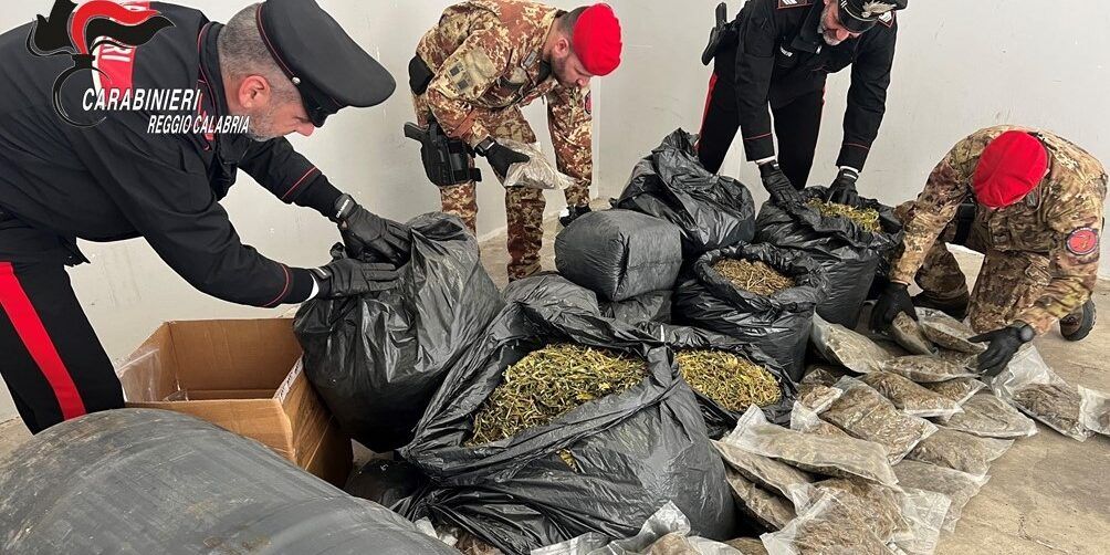 Oltre 75 chili di droga nascosti nella spazzatura: arrestato un 35enne di Grotteria – VIDEO